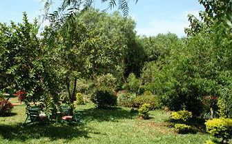 Kudu Lodge & Camp Karatu Εξωτερικό φωτογραφία